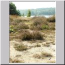 Niedringhaussee-Sundermannsee-Sandgrube 13.jpg